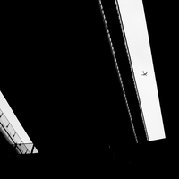 A Grammar of Intrusion