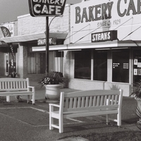 Texas Gulf Coast Diners 