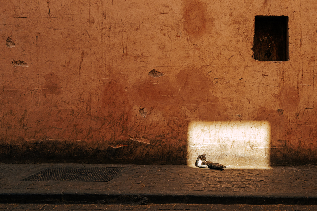 273 - Marrakech - 2022