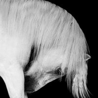 Classic is the Stil that I can‘t get enough 