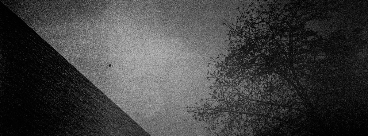 A pristine world ? Wandering through Switzerland's cities