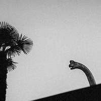 A pristine world ? Wandering through Switzerland's cities