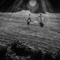 A pristine world ? Wandering through Switzerland's cities