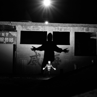 The Giant Shadow of the Human World