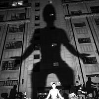 The Giant Shadow of the Human World