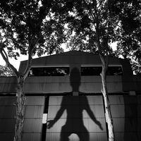 The Giant Shadow of the Human World