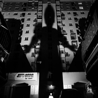 The Giant Shadow of the Human World