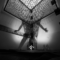 The Giant Shadow of the Human World