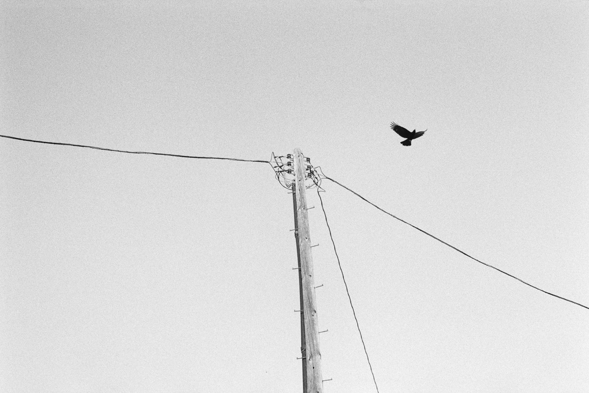 You May Find This Shocking