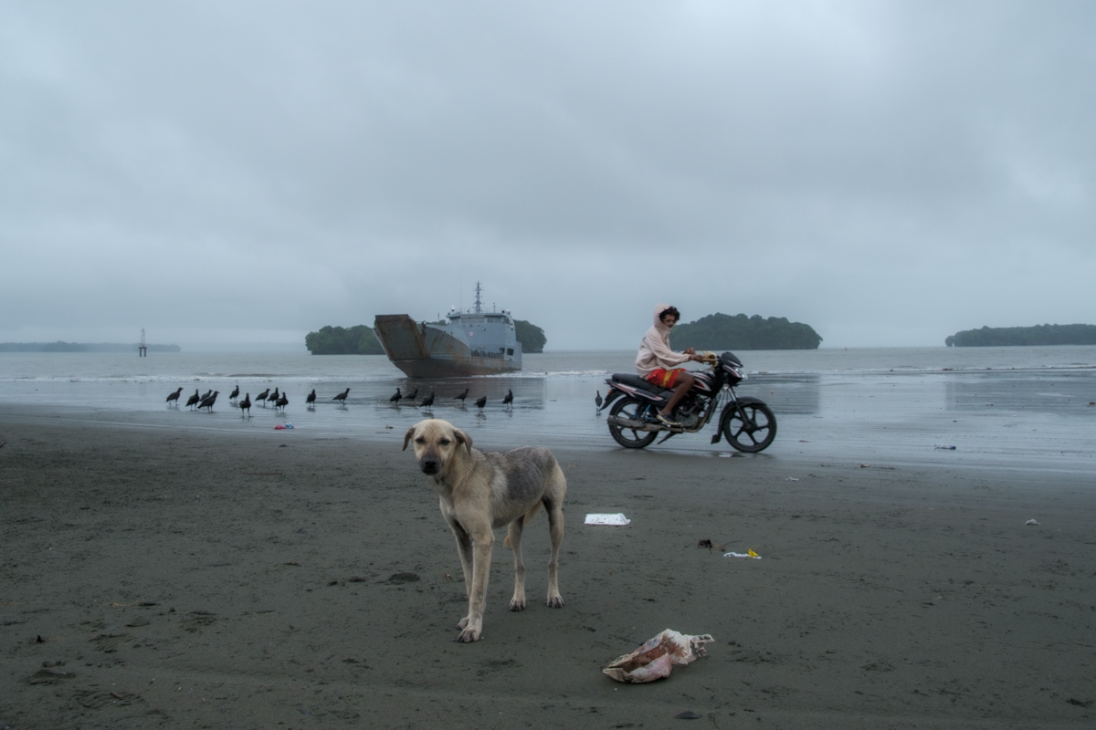 The dog, the shell, the bike, the ship and the vultures.