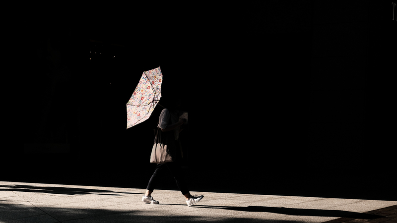 Transparent umbrella