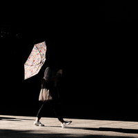 Transparent umbrella