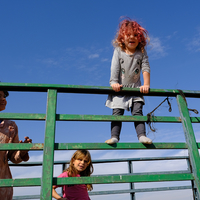 Where there is a will there is a way 