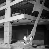 Day is night and Night is day