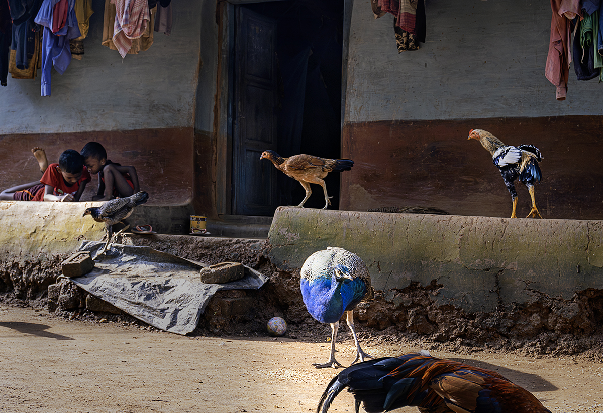 Life in a Rural Village