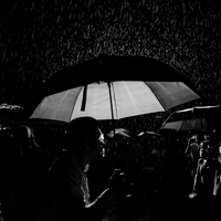 Silhouettes in the Rainy Night