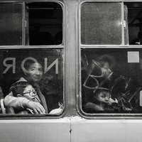 On the bus to Mexico City