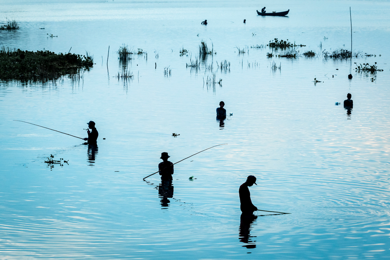 Blue Hour Fishing