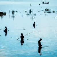 Blue Hour Fishing