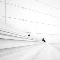 Monumental Loneliness