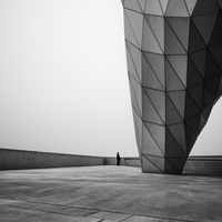 Monumental Loneliness