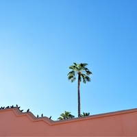 Marrakech perspective minimaliste 