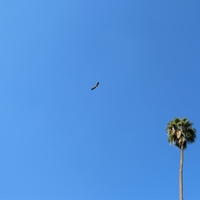 Marrakech perspective minimaliste 