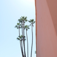 Marrakech perspective minimaliste 