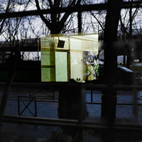 Into The fading Lights