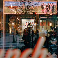 Into The fading Lights