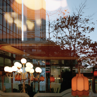 Into The fading Lights