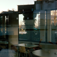 Into The fading Lights