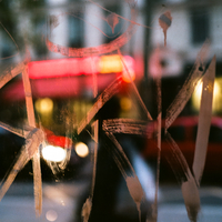 Into The fading Lights