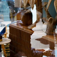 Into The fading Lights