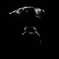 Who are we when we are not ourselves?