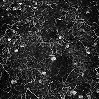 Who are we when we are not ourselves?