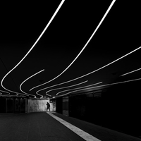 curved lights on the ceiling