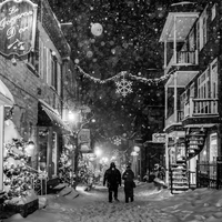 Snowy night