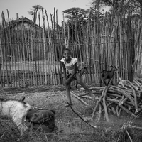 CHILDREN FROM THE LAND OF BAOBABS