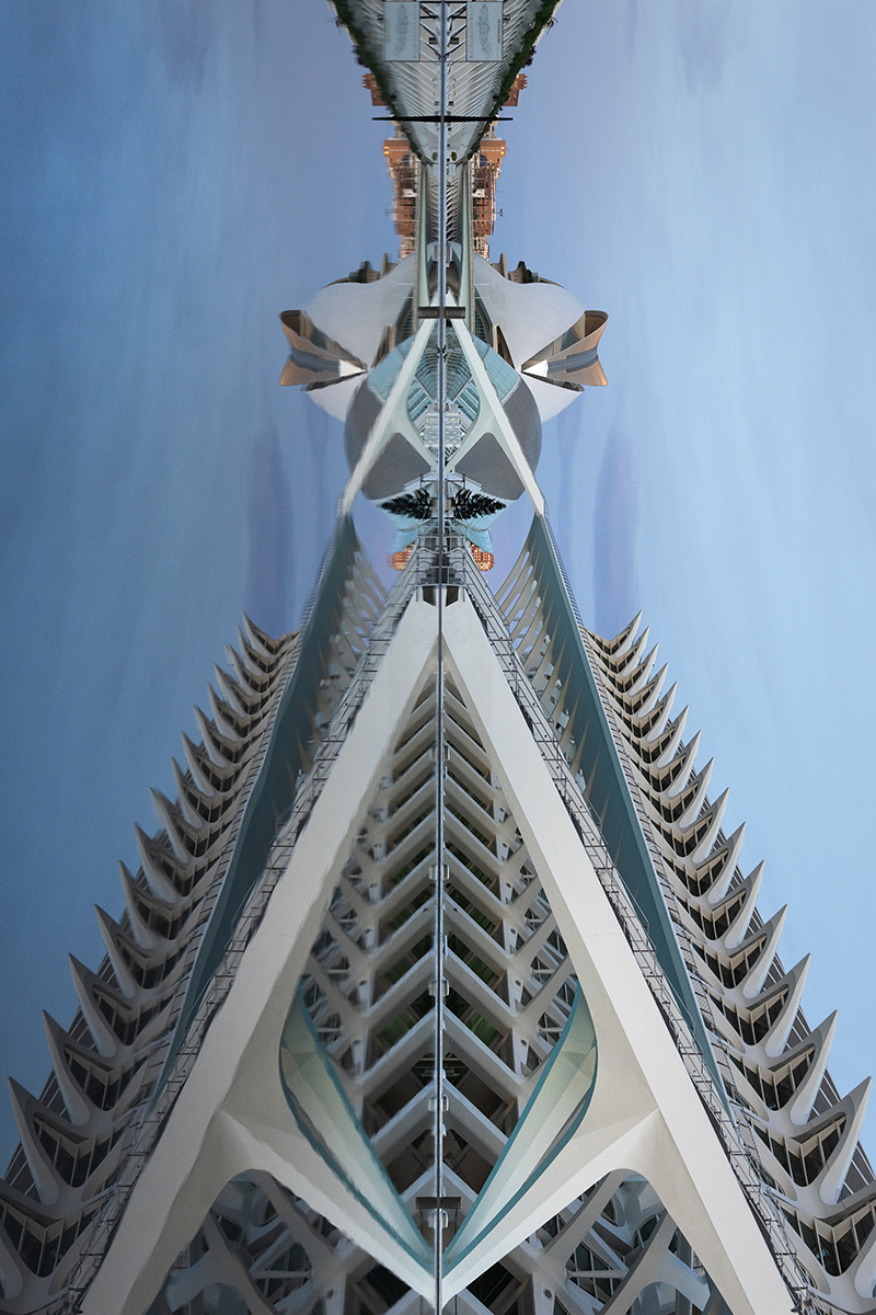 The Watchful Guardian