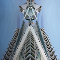 The Watchful Guardian