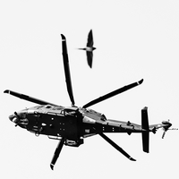 The Imitation of Flight