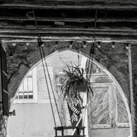 Gondolas and gondoliers