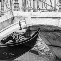 Gondolas and gondoliers