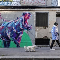 Street art vs people