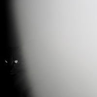 Cutting through the shades