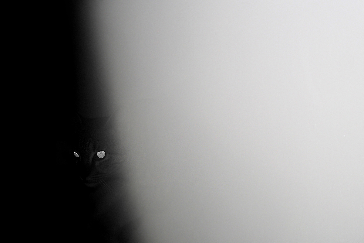 Cutting through the shades