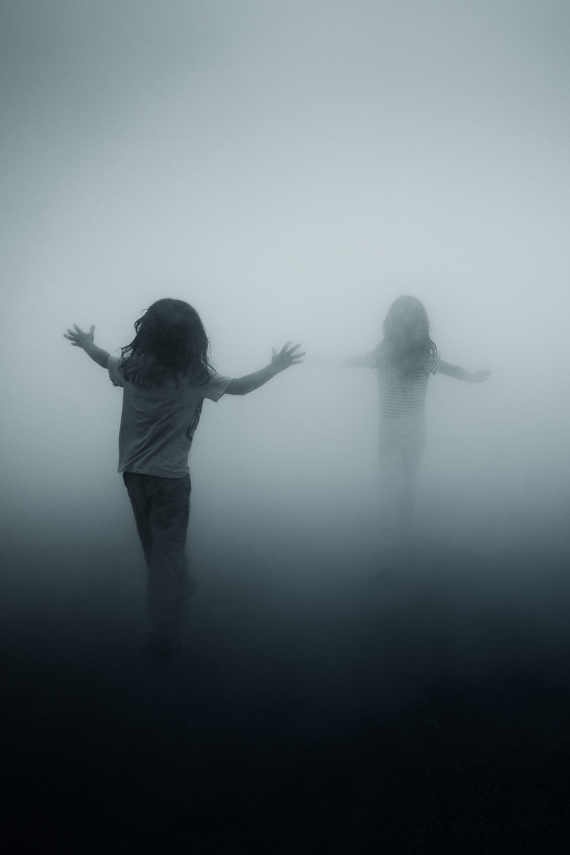 Into the Fog