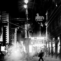 Silhouette in the Night