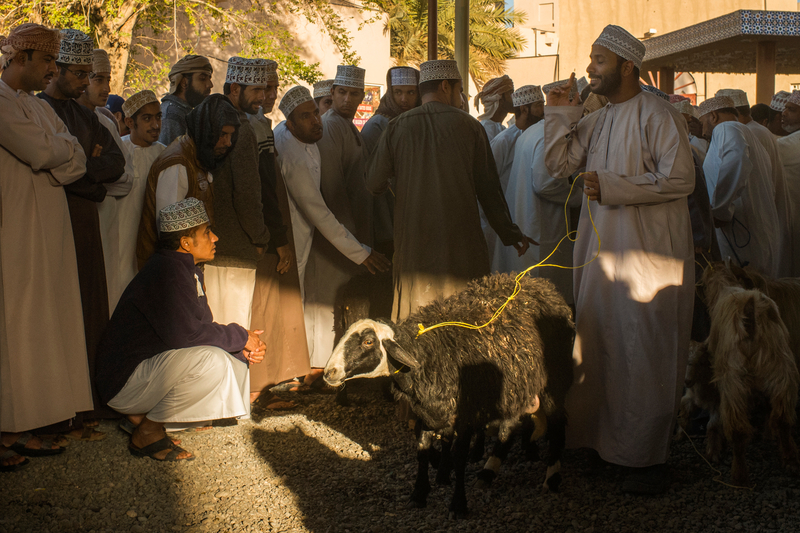 Goat Traders